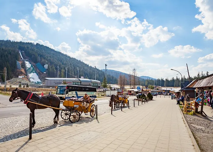 Rent Like - Droga Na Bystre Zakopane